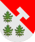 Coat of arms of Suoyarvi