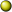Colubridae