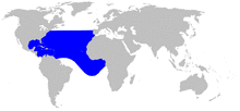 Cetacea range map Gervais Beaked Whale.png