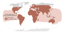 World distribution of snakes.svg