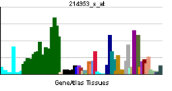 PBB GE APP 214953 s at.png