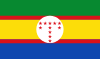 Flag of Tangua, Nariño