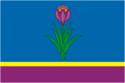 Flag of Mozdok