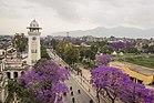 Ghantaghar and Jacaranda.jpg
