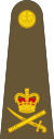 Lieutenant-general