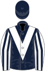 Dark blue, white chevron, white and dark blue striped sleeves