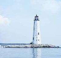 New point comfort light NPS.PNG