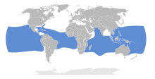 Onychoprion fuscatus map.svg