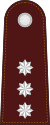 RTP OF-2 (Police Captain).svg