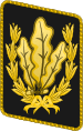 HJ-Reichsjugendführer.svg