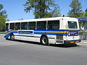 Translink-V3164.jpg