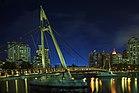 Tanjong Rhu bridge (8150716305).jpg