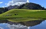 Siri Lake, Kaghan Valley, Pakistan