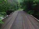 Upper Works footbridge.jpg