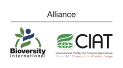 Logo of The Alliance of Bioversity International and CIAT.png