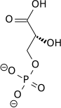 3-phospho-D-glycerate wpmp.png
