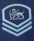 RHAF-Master Sgt.JPG