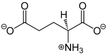 L-Glutamate Structural Formula