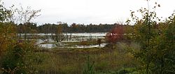 Ponds form between ridges and high points