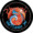Phoenix mission logo.png
