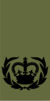 WO2 RMR.png