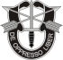 SpecialForces Badge.svg