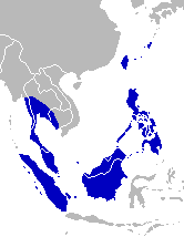 Idea leuconoe - Distribution.png