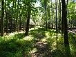 Rancocas State Park.jpg