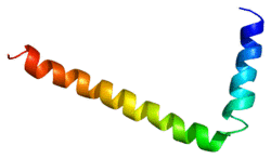 Protein PLN PDB 1fjk.png