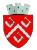 Coat of arms of Târgu Ocna