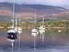 Sailing yachts at nichol end facing south into winter sun - geograph.org.uk - 77308.jpg