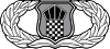 United States Air Force Air Traffic Control Badge.svg