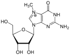 Chemical structure of 7-methylguanosine