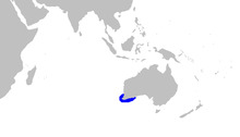 Asymbolus submaculatus distmap.png