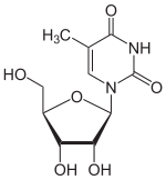 Skeletal formula of 5-methyluridine