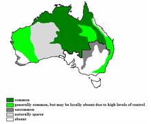 Dingo-Distribution-Fleming.png