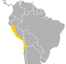 Mormopterus kalinowskii Range.png