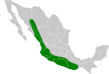 Vireo hypochryseus map.svg