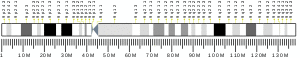 Chromosome 9 (human)