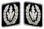 Reichsführer SS collar 1945.png