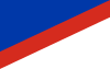 Flag of Concepción