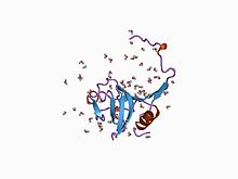 PDB 1cjl EBI.jpg