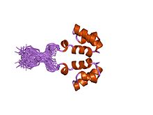PDB 1wjd EBI.jpg
