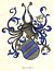 Coatofarms-Bielke.jpg