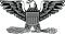 US-O6 insignia.svg