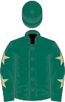 Dark green, beige stars on sleeves