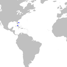 Pristiophorus schroederi distmap.png