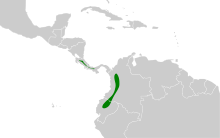 Pseudocolaptes lawrencii map.svg