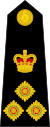 British Royal Marines OF-6.svg