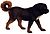 Tibetan mastiff (white background).jpg